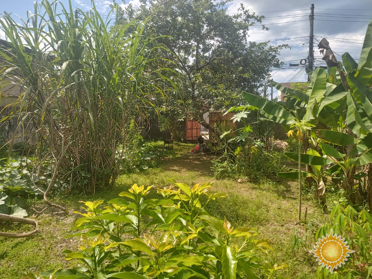 Terreno de 288 M² No Itaguá !!!