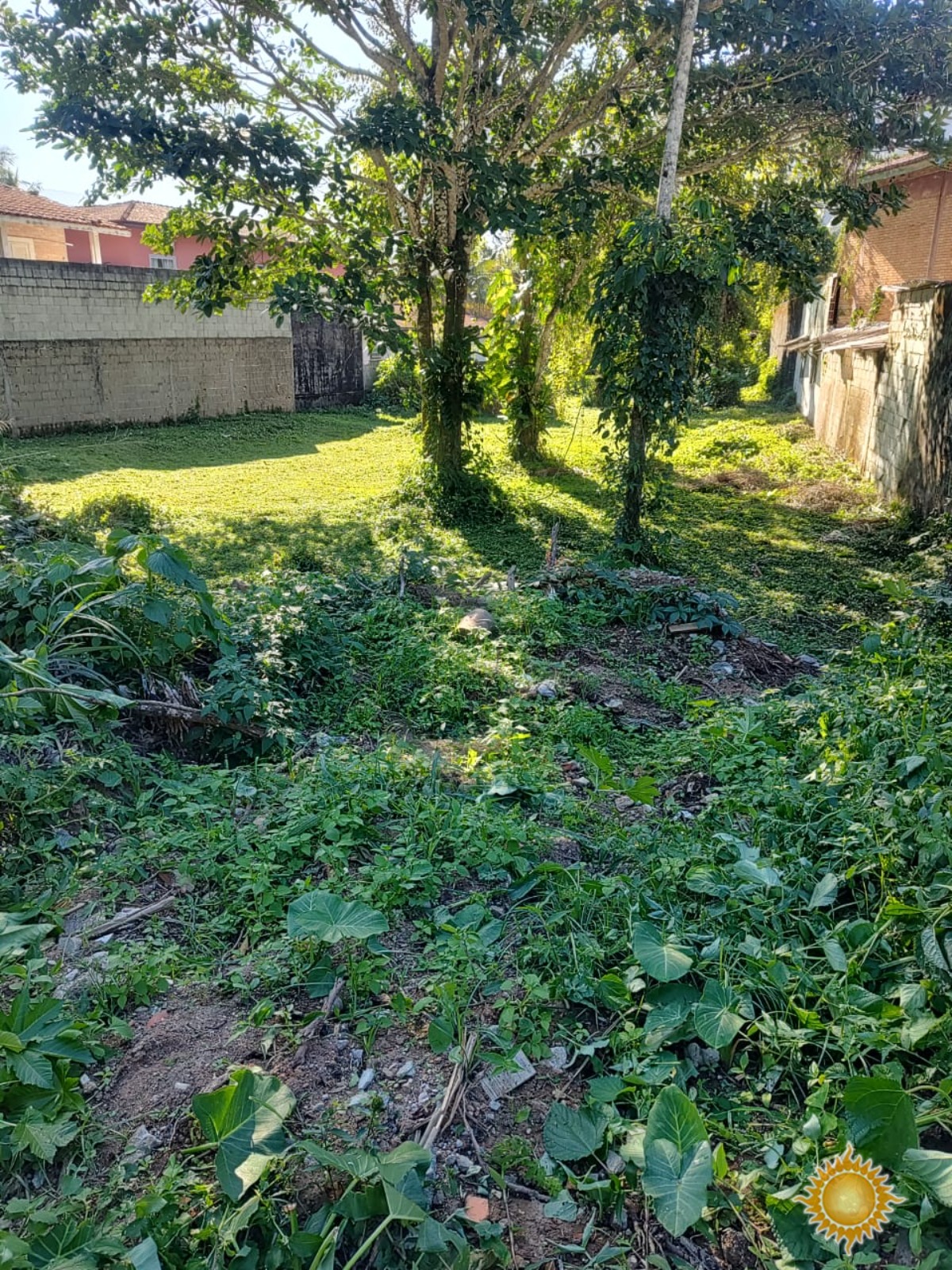 Área de 1521 M² No Saco da Ribeira Documento em Processo de Usucapião !!!