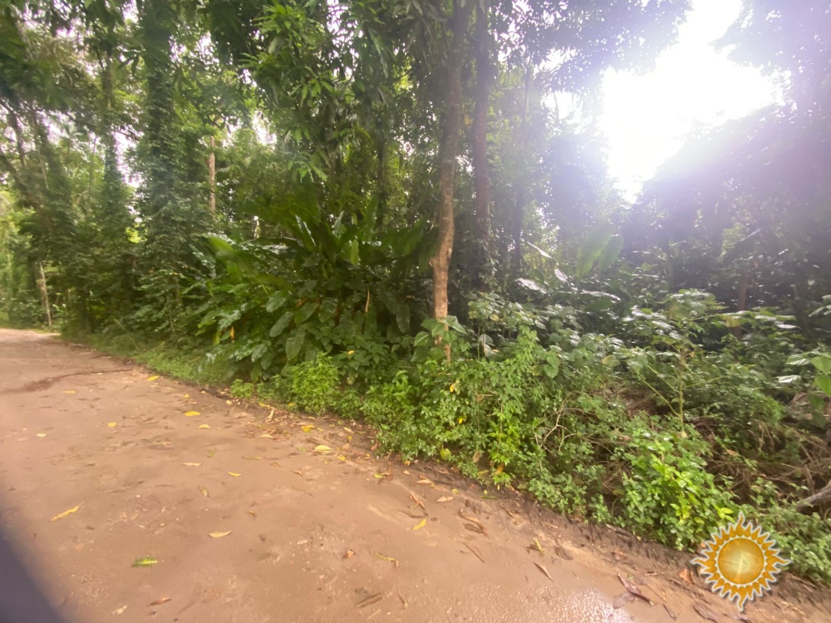 Itamambuca : Terreno de 500 M² com Licenciamento Ambiental !!!