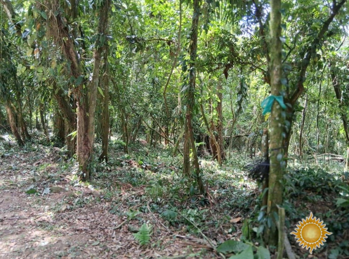 Oportunidade Terreno de 896 M² No Bairro da Figueira com Matricula !!!