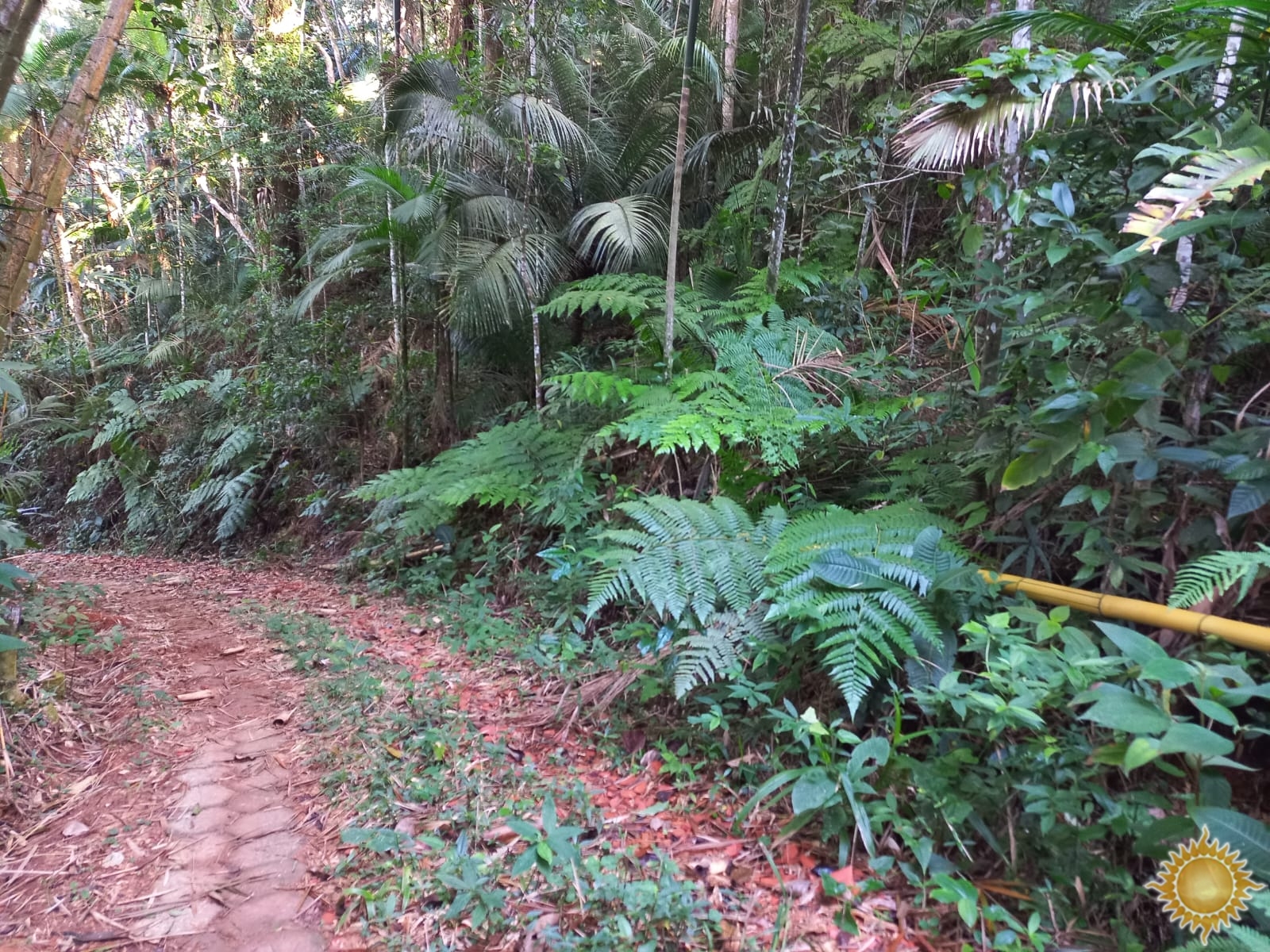 Área de 1.169 m² em local privilegiado próximo do mar na Praia Brava Fortaleza !!!