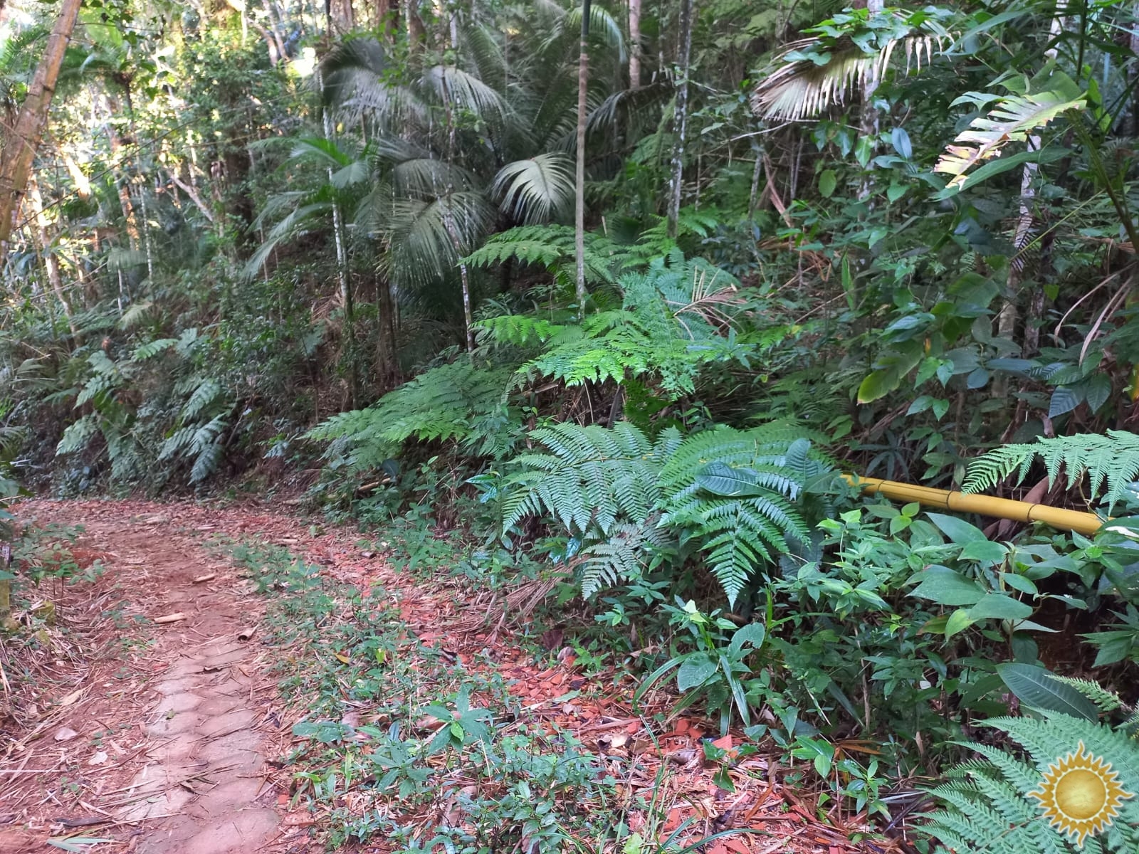 Área de 1.169 m² em local privilegiado próximo do mar na Praia Brava Fortaleza !!!