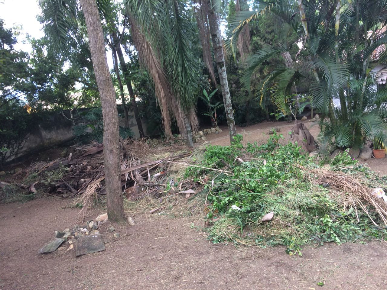 Área na estrada velha de tremembé !!!