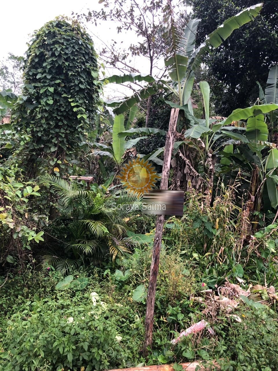Chácara de 5500m² Na Maranduba